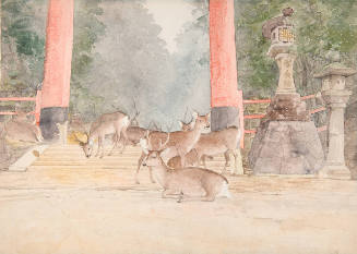 Untitled (deer in front of torii gate, Japan)