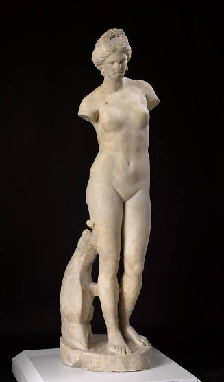 Statue of Aphrodite Anadyomene (Cyrene Type)