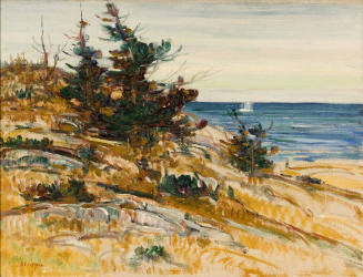 Spruce Trees by the Sea