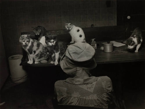 Mamie Neugent and her Cats
