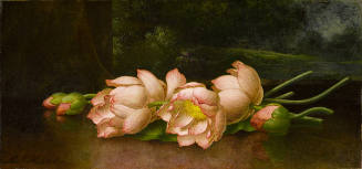 Lotus Flowers: A Landscape Painting in the Background