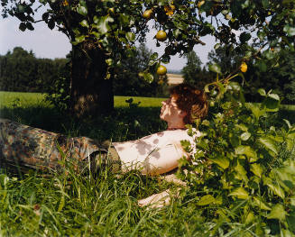 Joachim, Pear Tree, Reitprechts