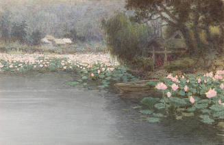 Untitled (lotus pond, Japan)