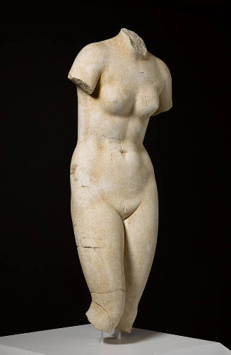 Torso of a Statue of Aphrodite (“Venus Medici” type)