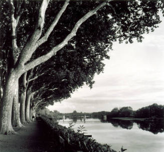 Banks of the Loire, France, 1991