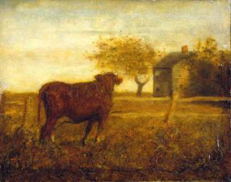 The Pasture