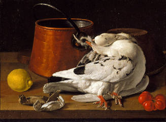 Still Life with Pigeons, Lemon, Tomato, Spice Packets and Kitchen Vessels