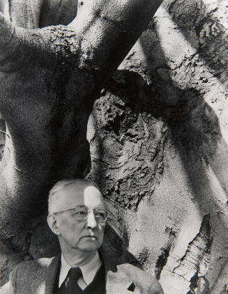 Charles Sheeler and His Favorite Beech Tree